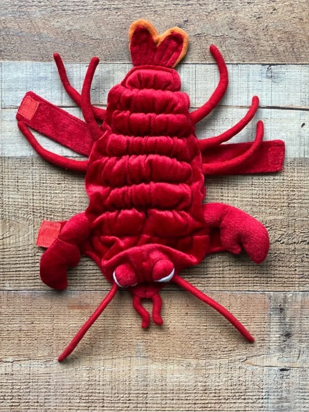 Dog Halloween Lobster Costume XS